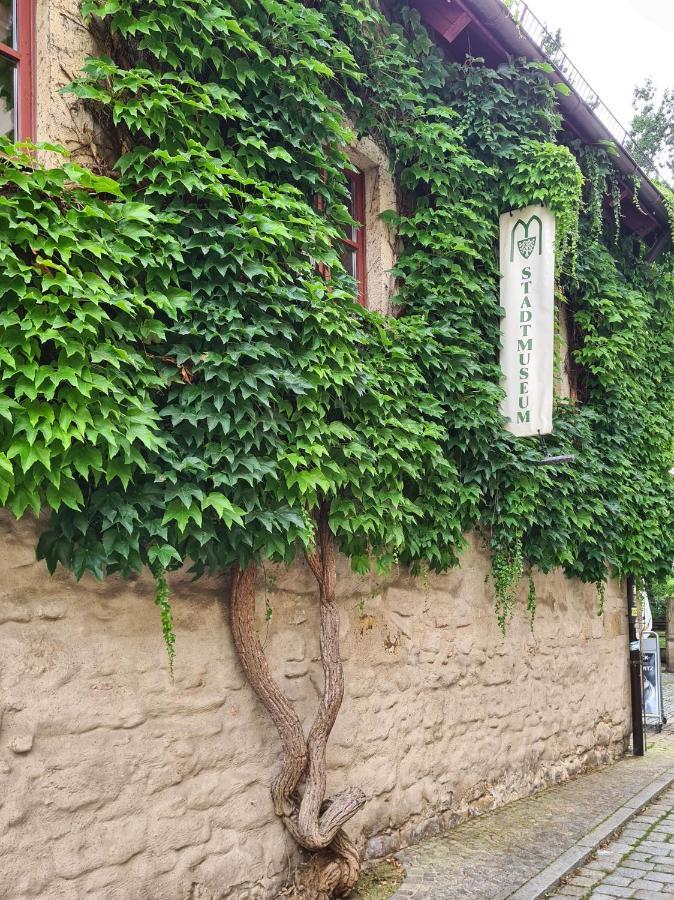 Altstadt Domizil ピルナ エクステリア 写真
